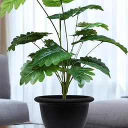 Go Hooked Artificial Monstera Deliciosa Plant with complimentary Nursery Pot-35