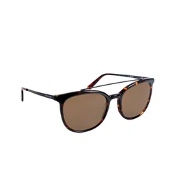 pierre cardin Men Round Sunglasses with UV Protected Lens 2065675815570-image-71