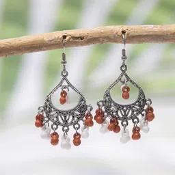 Creative Frogs Teardrop Shaped Drop Earrings-picture-41