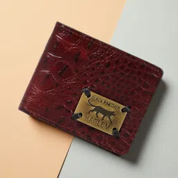 Hidesign Men Textured Leather Non Detachable Flap Wallet-picture-34