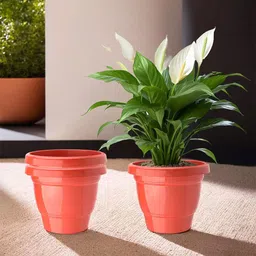 Kuber Industries 3Pc Red Light Weight Planters-51