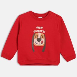 MINI KLUB Boys Printed Sweatshirt-picture-34