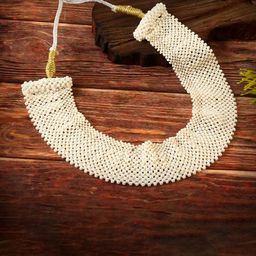 Jewar Mandi Crystals Beaded Choker Statement Necklace-image-65