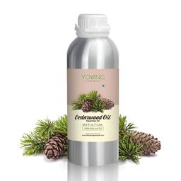 YOUNG CHEMIST Cedarwood Essential Oil - 1 Litre-image-39