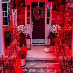 KAVYARA Red Rice Shape String Light image 3