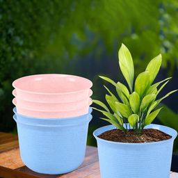 Kuber Industries 6Pcs Pink & Blue Textured Planters With Plate-99
