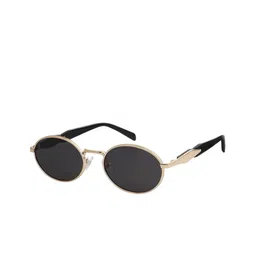 SPADEACES Unisex Black & Gold-Toned Retro Oval Sunglasses - SpadeAces 6120-11