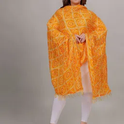 Fabme Printed Dupatta image 2