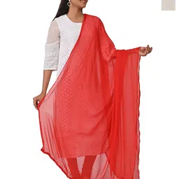HELLA FASHIONS Selection Of 2 Chiffon Dupattas-picture-19