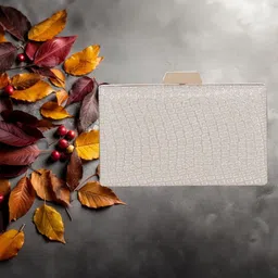 Rapid Costore Embellished Box Clutch-45