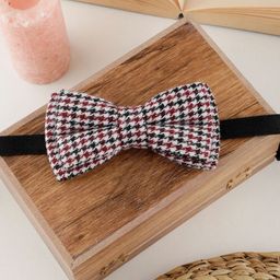 Alvaro Castagnino Men Woven Design Bow Tie-picture-20