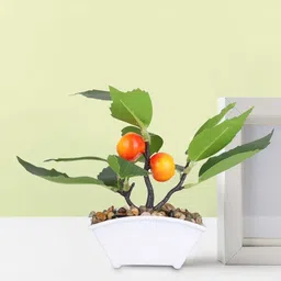 Ekhasa Green 1 Pieces Artificial Plant With Pot-16
