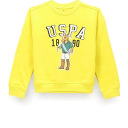 U.S. Polo Assn. Kids Boys Printed Pure Cotton Sweatshirt-picture-35