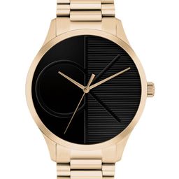Calvin Klein Unisex Iconic Analogue Watch 25300028-17