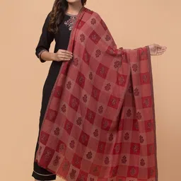 Tweedle Checked Woven Design Woollen Shawl-image-71