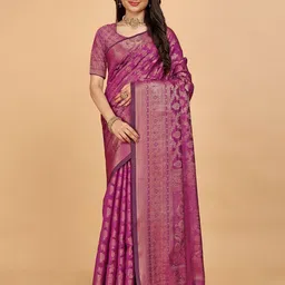 Indian Fashionista Ethnic Motifs Zari Organza Banarasi Saree-picture-35