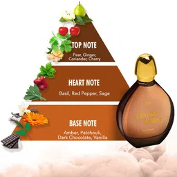 CFS Chocolate Fantasy & Intruder Set Of 2 Long Laster EDP- 100ml Each image 5