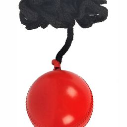HackerX Round Cricket Practice Hanging Ball image 2
