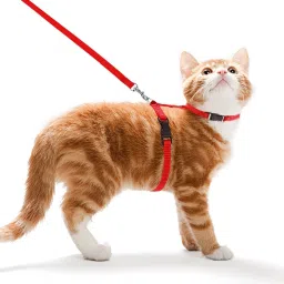 Adjustable Red Cat Harness with Red Leash for All Cats & Kitten Easy to Fit Easy to Control Cat Harness & Leash-image-17