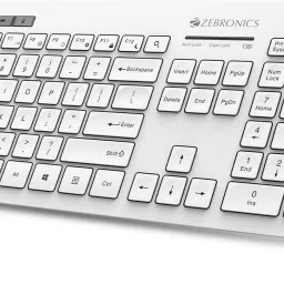 ZEBRONICS Zeb-Companion 500 and Mouse Combo Wireless Standard Desktop Keyboard Compatible with Desktop, Laptop, Mac Zeb - Companion 500-31