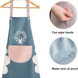 PVC Home Use Apron - Free Size-4