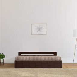 mintwud from pepperfry Orion Pull-Out Sofa Cum Bed in Wenge Finish-picture-43