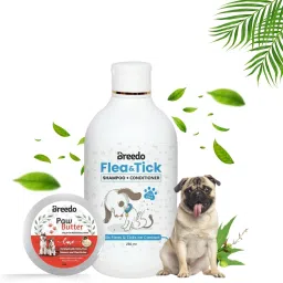 Dog & Cat Flea-Tick Shampoo(250ml)+Paw Butter Moisturizing & Soft Cream(15ml)| Allergy Relief, Conditioning, Anti-fungal, Anti-microbial, Anti-itching || Paw Butter Effective to Heal, Repair, Soften, Dry, Cracked, Paws & Elbows|| Dog Shampoo-4