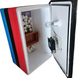 EPS Thermocol Body 80 chicken capacity and other 160 quail egg Egg Incubator-14