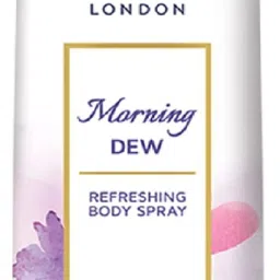 morning dew deo 150ml pack f 1 Deodorant Spray - For Women-image-7