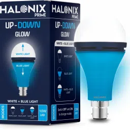 10 W Basic Round B22 D Decorative Bulb-23