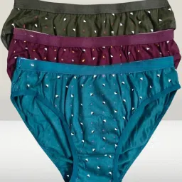 Pack of 3 Women Hipster Multicolor Panty-image-33