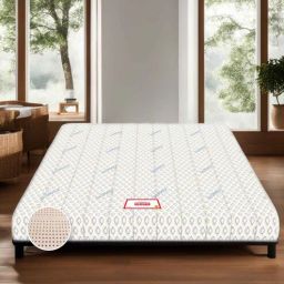 coirfit Biolife Ltx Indonesian Latex Foam 6 Inch Queen Size Mattress-picture-17
