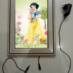 , CINDERELLA MODAL NO-48 , 15.5 inch LED PHOTO FRAME-picture-13
