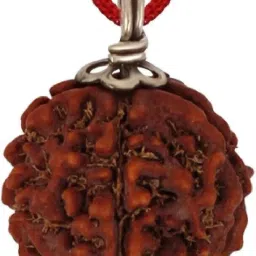 5 Mukhi Nepali Rudraksha Big Size Wood Pendant-image-65