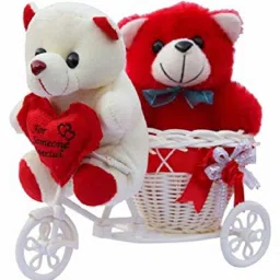Teddy Bear With Cycle - 21 (White, Red) Romantic Gifts, Surprise Cycle Teddy for Wife, Girlfriend, fiance On Valentine's Day, Birthday, Anniversary, Karwa Chauth and any special Occasion Favorable & Beautiful Couple of Teddy on Cycle Teddy bear couple with cycle Kids/Girlfriend/boyfriend/birthday/valentines - 40 cm-16