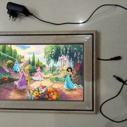 , CINDERELLA MODAL NO-10 15.5 inch LED PHOTO FRAME-image-66