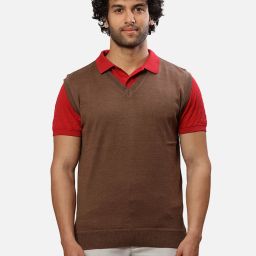 Men Solid V Neck Brown Sweater-image-28