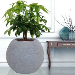 nora Small Juniper Grey Polyethylene Floor Planter-picture-0