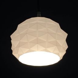 Pendants Ceiling Lamp-image-70