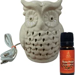 Lamoule Electric Oil Burner Beautiful White Owl Diffuser Set Air Freshener Lamp with Fragrance Oil, For Home Decor & Office Decor Large Owl Diffuser-101