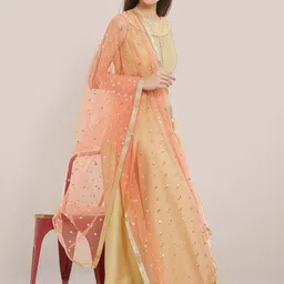 Dupatta Bazaar  Embroidered Dupatta with Sequinned image 3