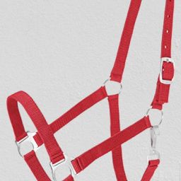 Halter Horse Bridle-image-29