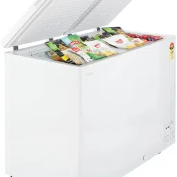323 L Double Door Standard Deep Freezer-image-29