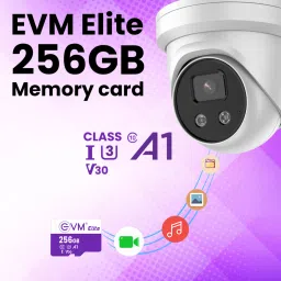 EVM MEMORY CARD 256 GB TF Card Class 10 100 MB/sMemory Card image 2