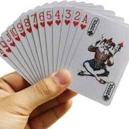 Premium Plastic Bridge Playing Cards with Case ( Washable )-image-75