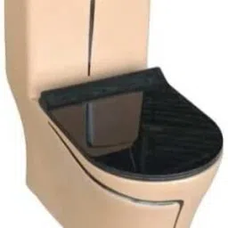 Premium Quality C024 Premium Quality Shining Light Brown commode with Black Finishing Line Western Commode-46