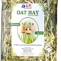 Oat hay 0.2 kg Dry Adult, Senior, Young Rabbit Food-image-8