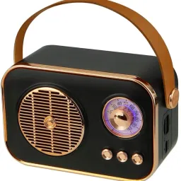 Rhobos Portable Bluetooth Speaker 5 W Bluetooth Speaker-image-43