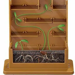 Grow A Maze Kit-10