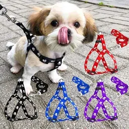 Adjustable Print Puppy. Dog & Cat Harness & Leash-26